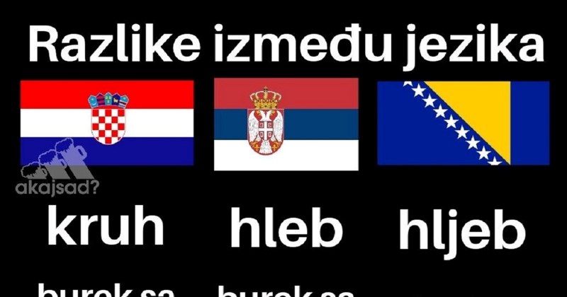 Mreže gore od fora nakon spektakularne pobjede BIH nad Italijom, izdvojili smo najjače