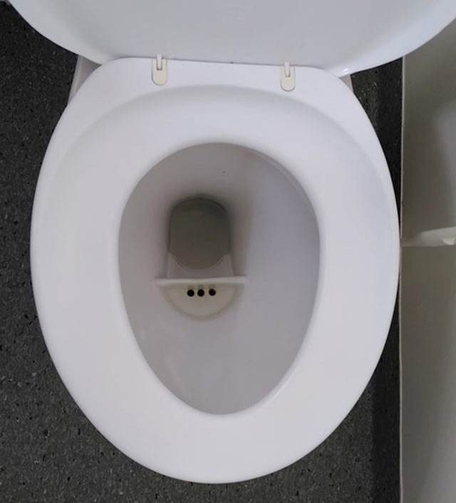 Posebne zahodske školjke koje odvajaju urin