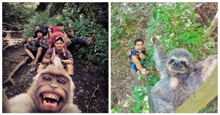 15 garantirano najboljih selfie fotki ikad zabilježenih