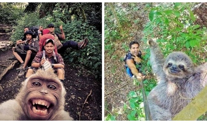 15 garantirano najboljih selfie fotki ikad zabilježenih