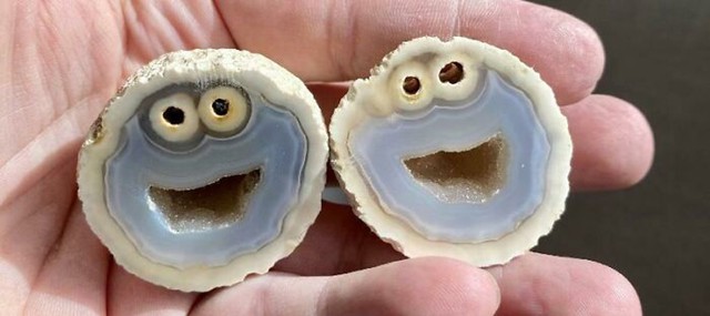 Geolog prerezao kamen i pronašao Cookie Monstera