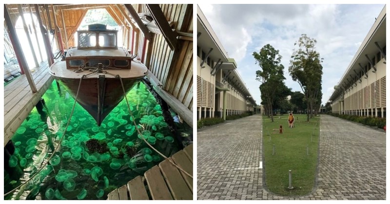 20 naizgled fotošopiranih fotografija koje su 100% stvarne