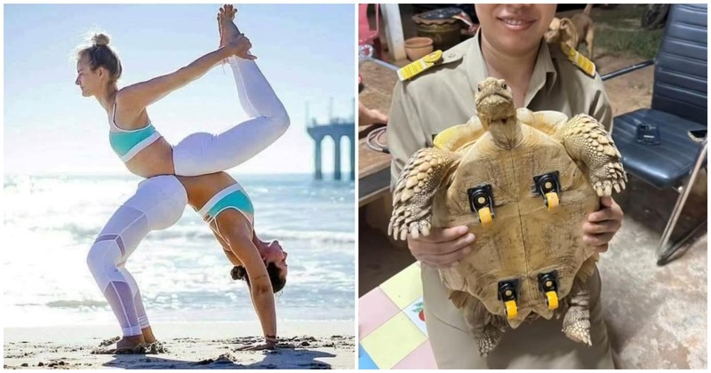 16 totalno neobičnih prizora koji će vas poprilično zamisliti ili zabaviti. Ili oboje