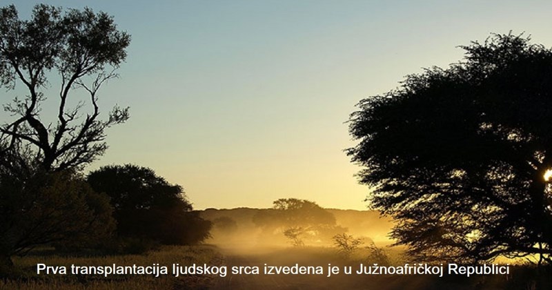 12 zanimljivih činjenica o zemljama širom svijeta kojima ćete fascinirati ekipu na idućem okupljanju