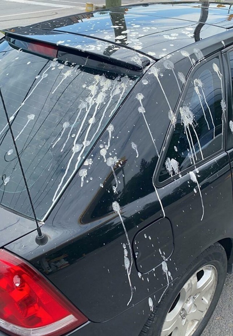 Doslovno sam prije 30 minuta oprao auto