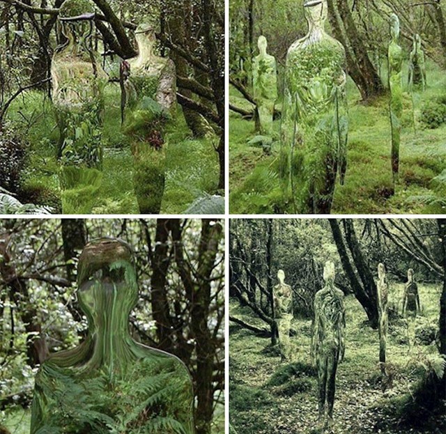 16. Zrcalne skulpture odražavaju šumu, djelo škotskog umjetnika Roba Mulhollanda