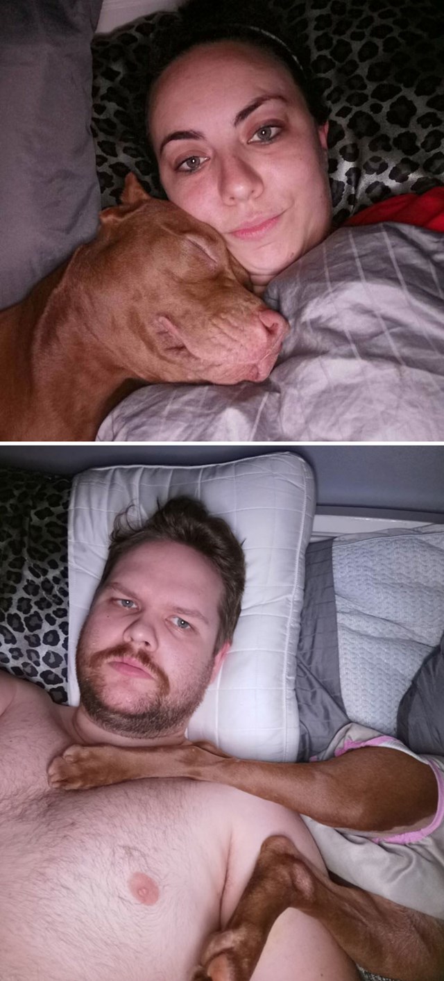 Kako naš pas spava sa mnom, a kako s mojim dečkom
