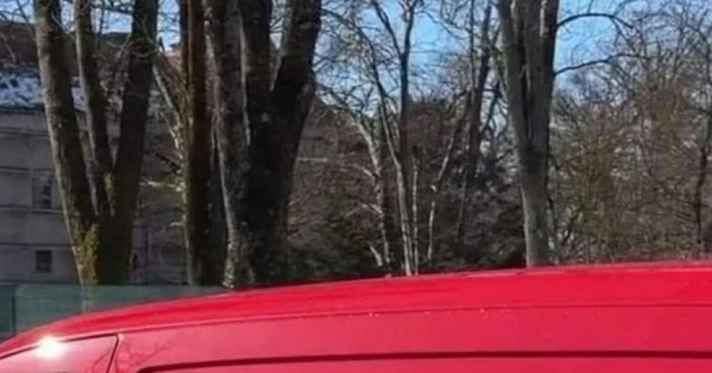 Tip je naručio reklamu za službeni kombi, ono što je dobio sada je apsolutni hit na Fejsu