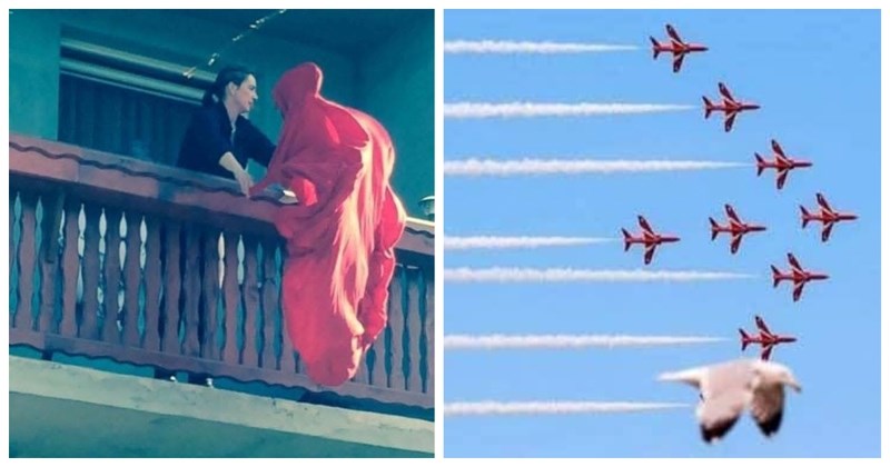 19 fotki koje nisu mogle biti uhvaćene u boljem trenutku! Teško ćete odlučiti koja vam je najdraža