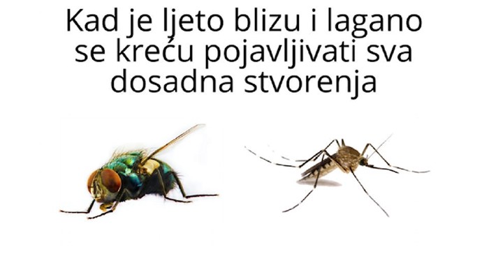 Fora o dosadnim ljetnim stvorenjima nasmijala je tisuće na Fejsu, jedan detalj posebno je urnebesan