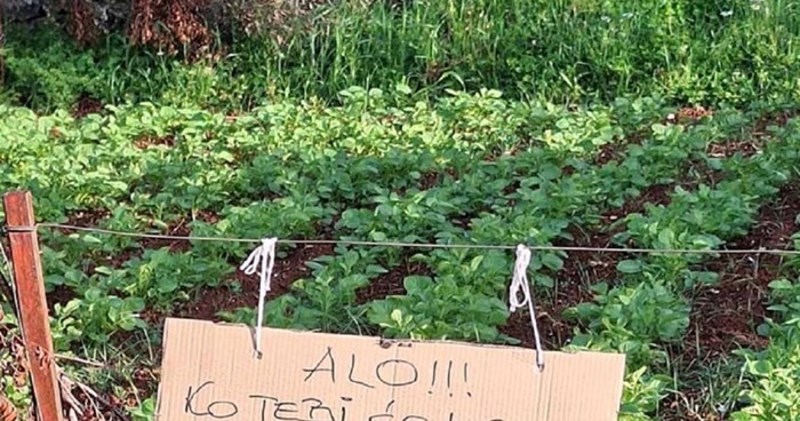 Vlasnik vrta ostavio je ponudu potencijalnim kradljivcima, pogledajte što im je napisao