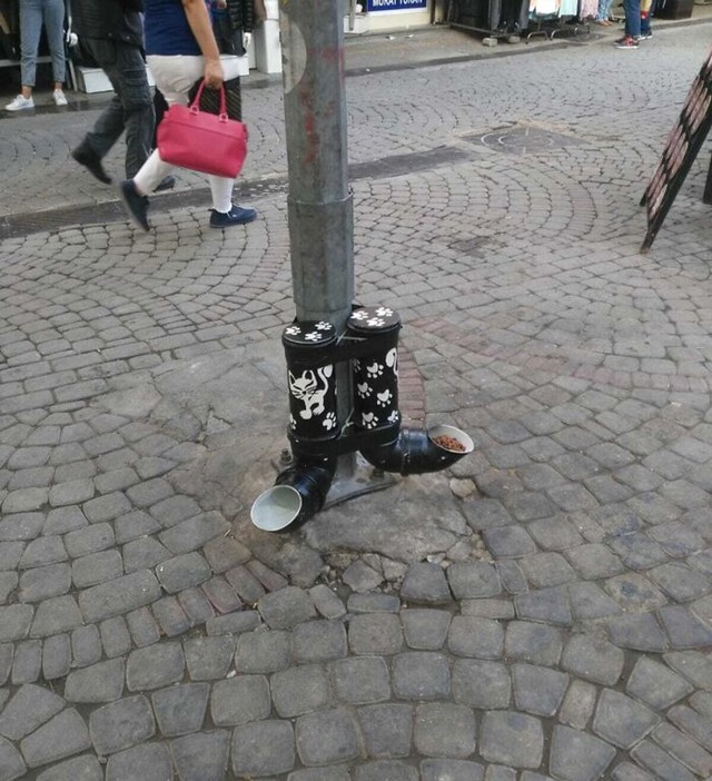 Stanica za hranjenje uličnih maca