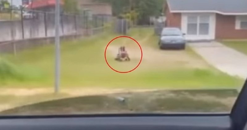 Vozili su se u autu i u jednom dvorištu vidjeli neobičan prizor, ono što su ugledali pravi je hit