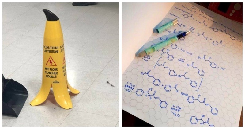 14 pametnih i zabavnih dizajnerskih ideja koje zaslužuju svaku pohvalu