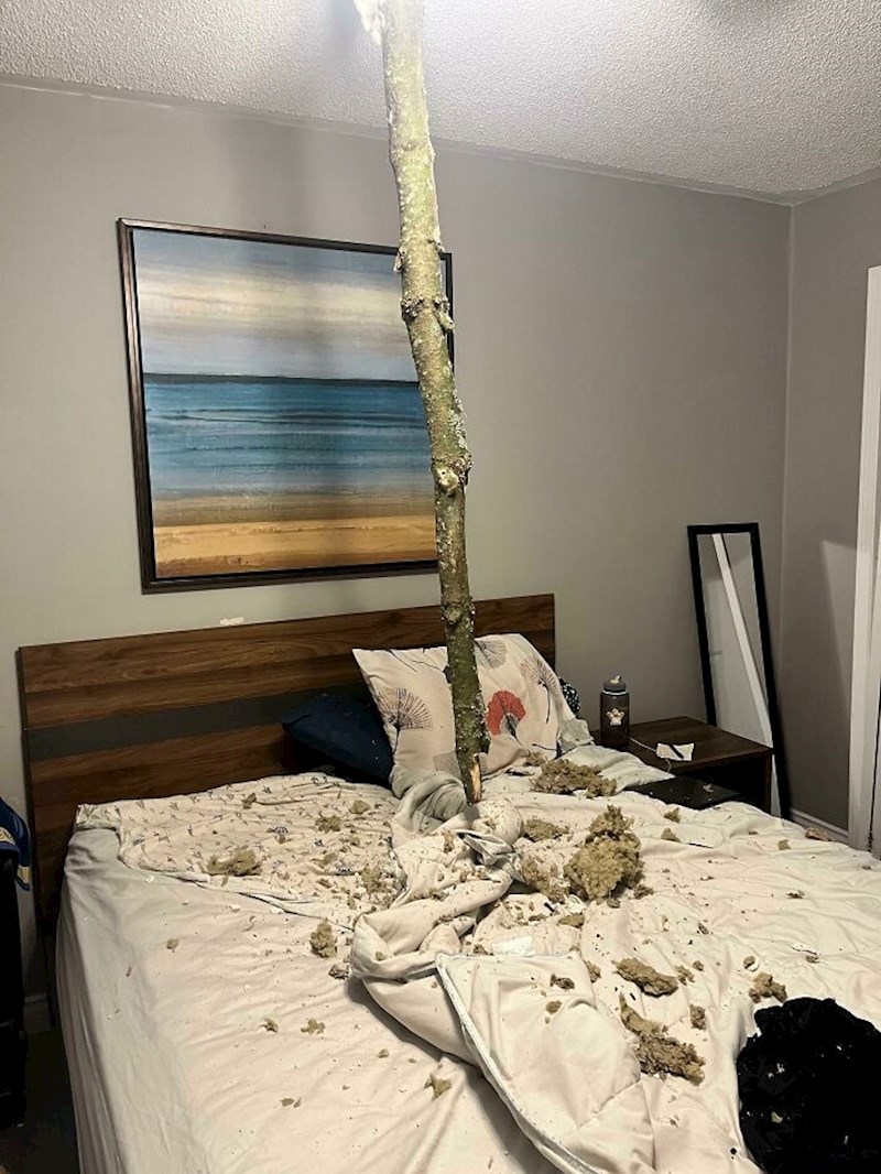 2. Podstanari su me zvali da im je oluja donijela iznenađenje u sobu, baš kada su se pripremali za ići spavati