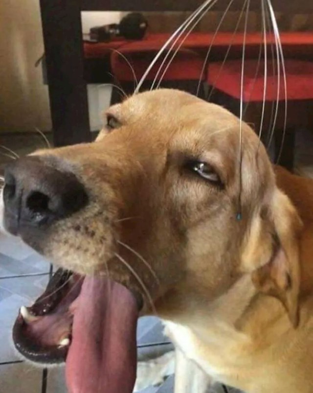 6.