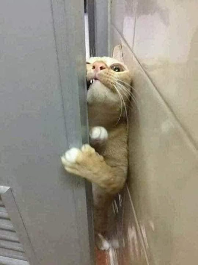 3.