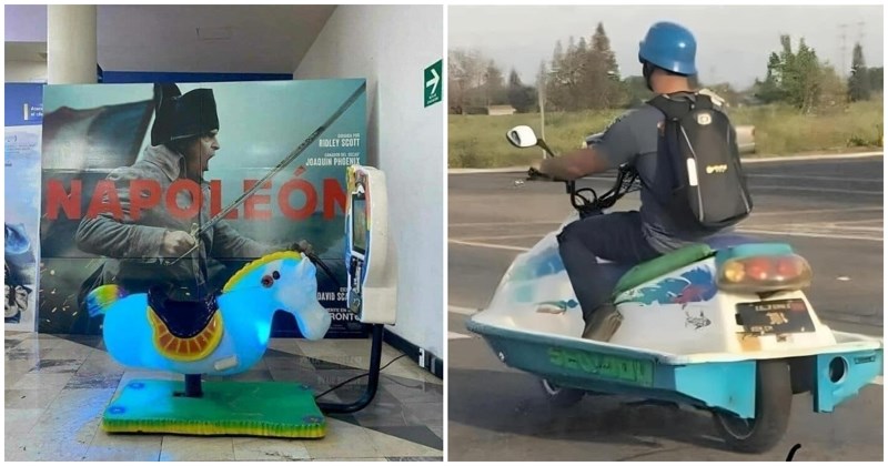 19 totalno blesavih prizora na koje su ljudi slučajno naletjeli i morali su ih svima pokazati