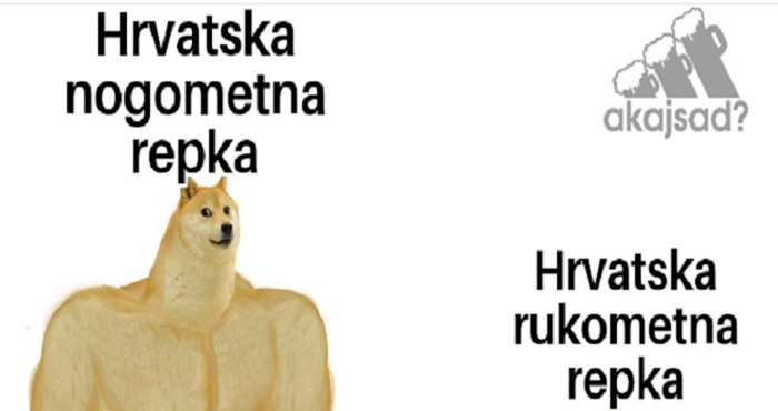 Nakon sinoćnje utakmice rukometaša s Egiptom, svi dijele ovu foru. Hit je!