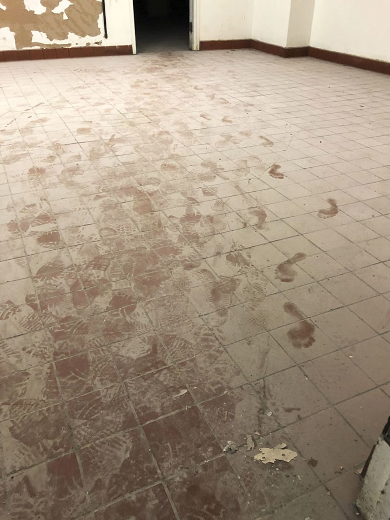 Čini se da sam imao posjetitelja dok sam radio sam u velikom napuštenom podrumu