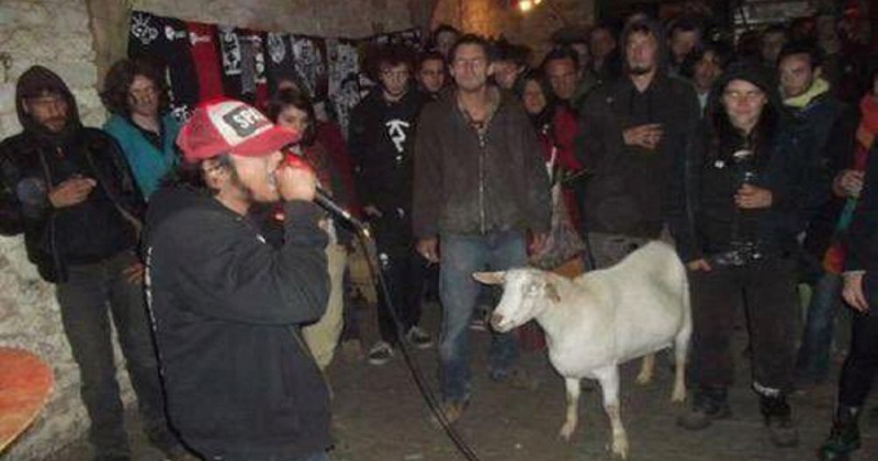 11 preludih scena zabilježenih u divljim izlascima