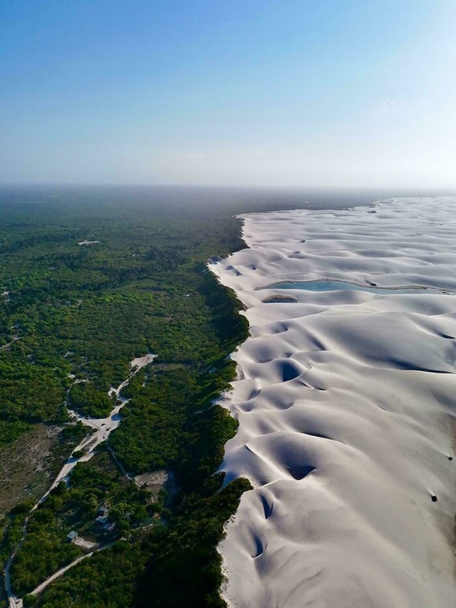 Granica šume i dina u Brazilu