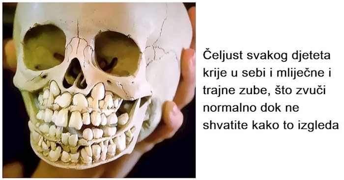 12 fascinantnih činjenica o ljudskom tijelu zbog kojih će vam vilica ispasti na pod