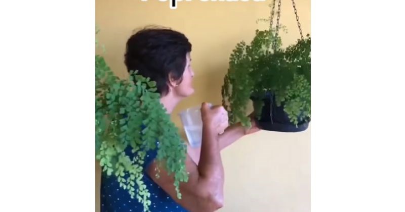 Baka je neobičnom metodom zalijevanja cvijeća istovremeno nasmijala i malo zgrozila Fejs, hit je!