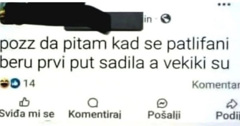 U FB grupi je tražila pomoć oko uzgoja patlidžana, jedan komentar ukrao je svu pozornost