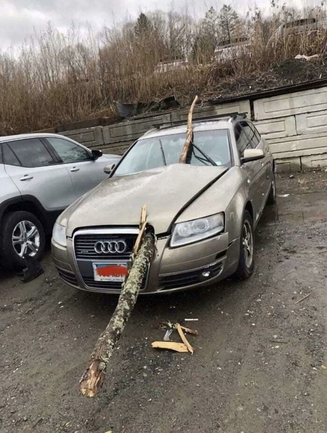 Audi koji je pokušao skok s motkom