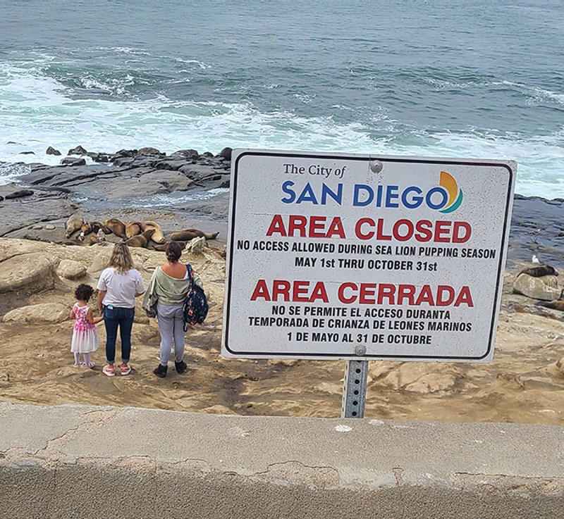 Pravila za njih ne vrijede...