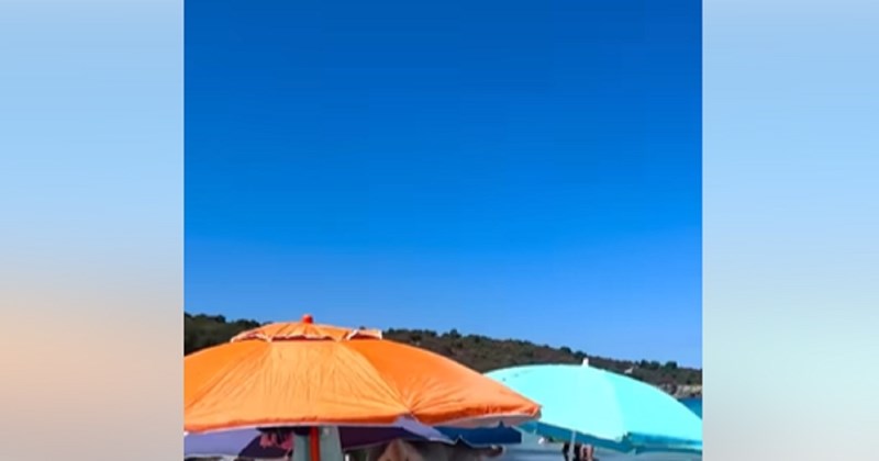 Nenadani gost na jednoj crnogorskoj plaži oduševio je kupače i mreže, prizor je presimpatičan