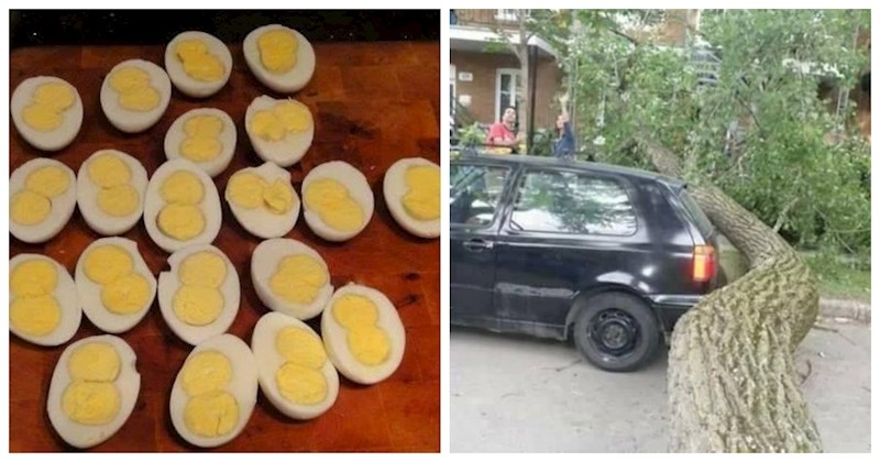 14 ljudi fotkalo je dokaze koliku su sreću imali tog dana jer im drugačije nitko ne bi povjerovao