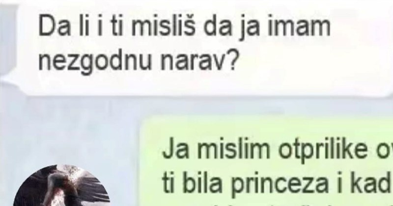 Curi je netko rekao da ima nezgodnu narav, a onda ju je dečko "utješio" urnebesnom usporedbom