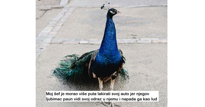 10 totalno ludih priča ljudi koji su radili za gadljivo bogate obitelji