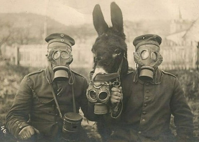 Dva njemačka vojnika i njihova mazga s gas maskama u Prvom svjetskom ratu, 1916. Nismo baš sigurni koliko je ovo pomoglo mazgi…