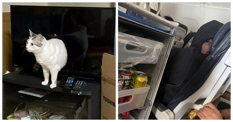 13 slika koje će vas na prvu toliko zavarati da ih više nećete moći gledati na isti način