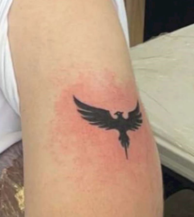 Tetovaža feniksa za proslavu mog gubitka težine