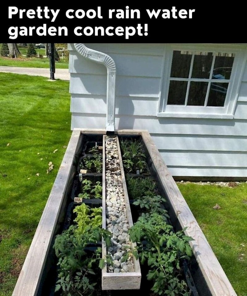 Odličan način za korištenje kišnice