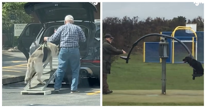 Ljubav ovih starčića i njihovih pasa na zalasku života nikoga ne ostavlja ravnodušnim. Predivni su!