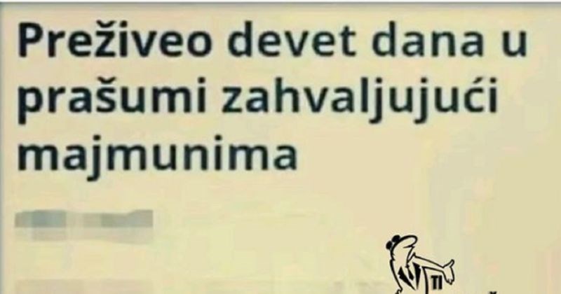 Tip je preživio u prašumi zbog majmuna, netko je to usporedio sa stanjem u Srbiji. Morate vidjeti