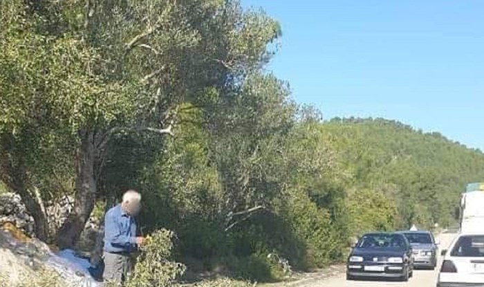 Prizor iz Dalmacije istovremeno je nasmijao i raznježio ekipu na Fejsu, odmah ćete vidjeti zašto