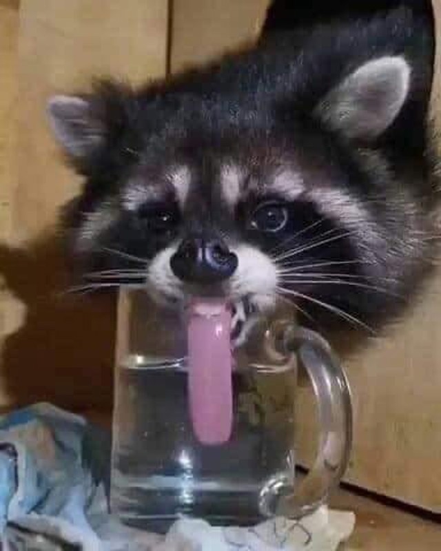 5.