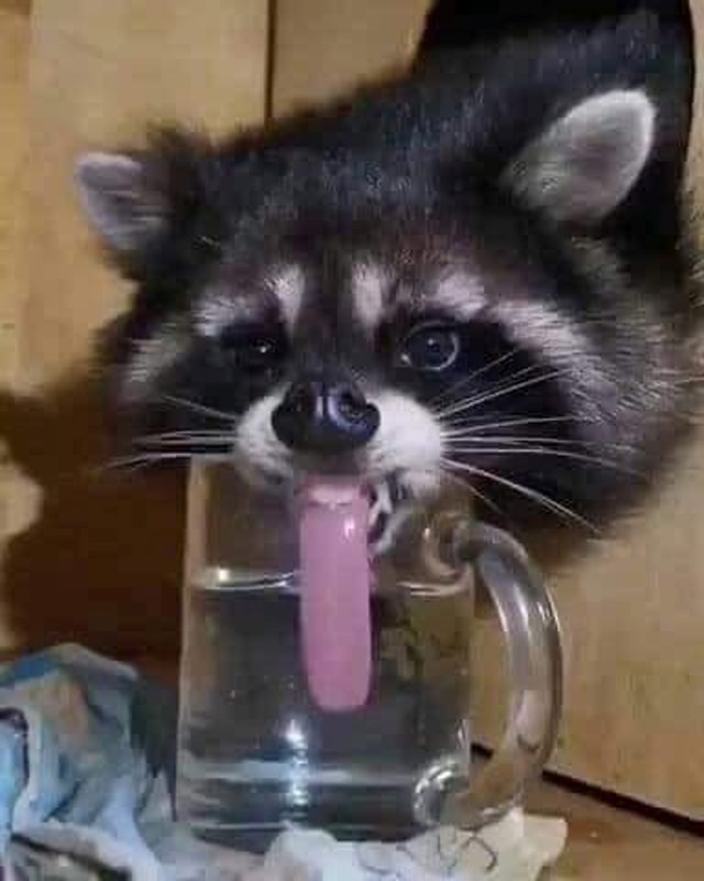 5.