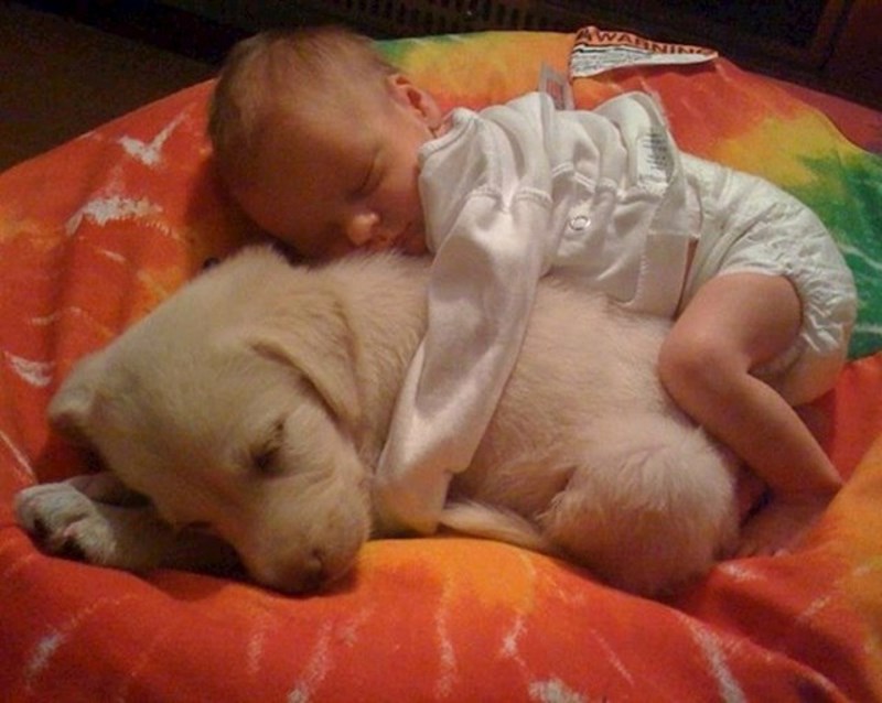 "Najljepše od svega je što će odrasti zajedno"