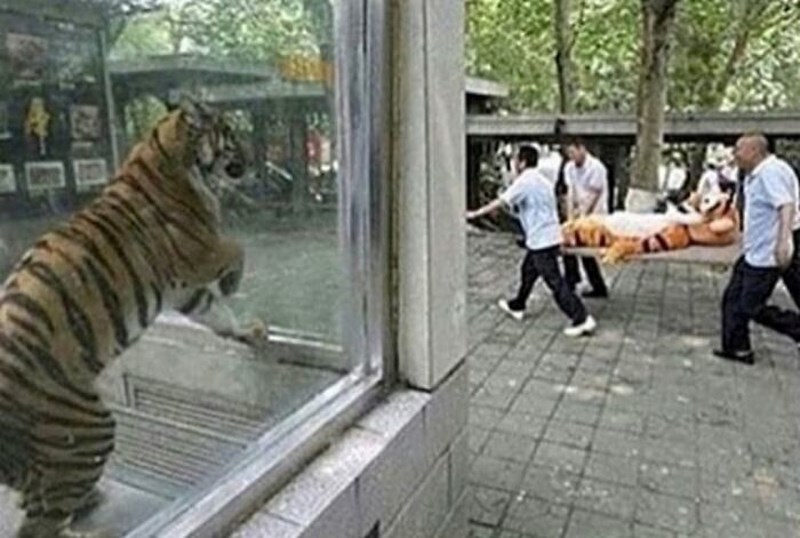 Nije bio spreman za ovaj prizor danas