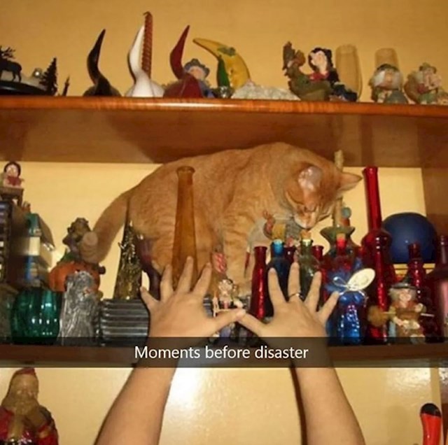 13.
