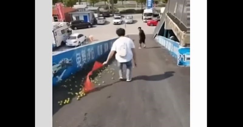 Tipu je pukla vrećica s voćem, morate vidjeti kako je prolaznik spasio situaciju. Video je hit!