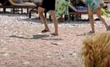 Prizor iz ljetovališta u Crnoj Gori nasmijao je mnoge, nećete vjerovati što je tip ponio na plažu