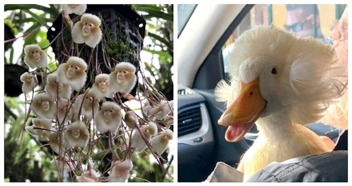 12 moćnih prizora koje nam je omogućila priroda, fotografije će vas fascinirati